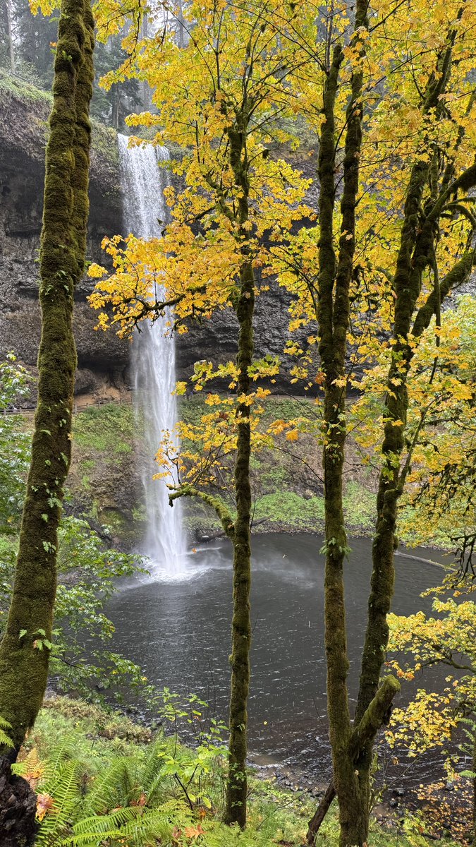 keizerbill's tweet photo. #saveoregon https://t.co/2rtUU2ZVUa