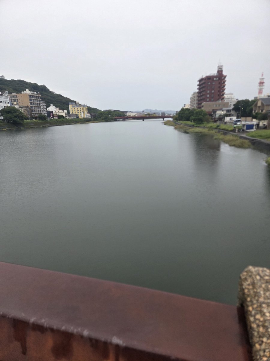 runandorix's tweet photo. 高知旅２日目の朝は、ランニングから！
小雨の降るなか、宿から　#鏡川　沿いなどをぐるっと５キロ🏃よさこいで見慣れた景色も目にしながら、ホテルに戻って朝食バイキング😋
今日は雨の中、#仁淀ブルー　巡りです！ https://t.co/ki4RfrW528