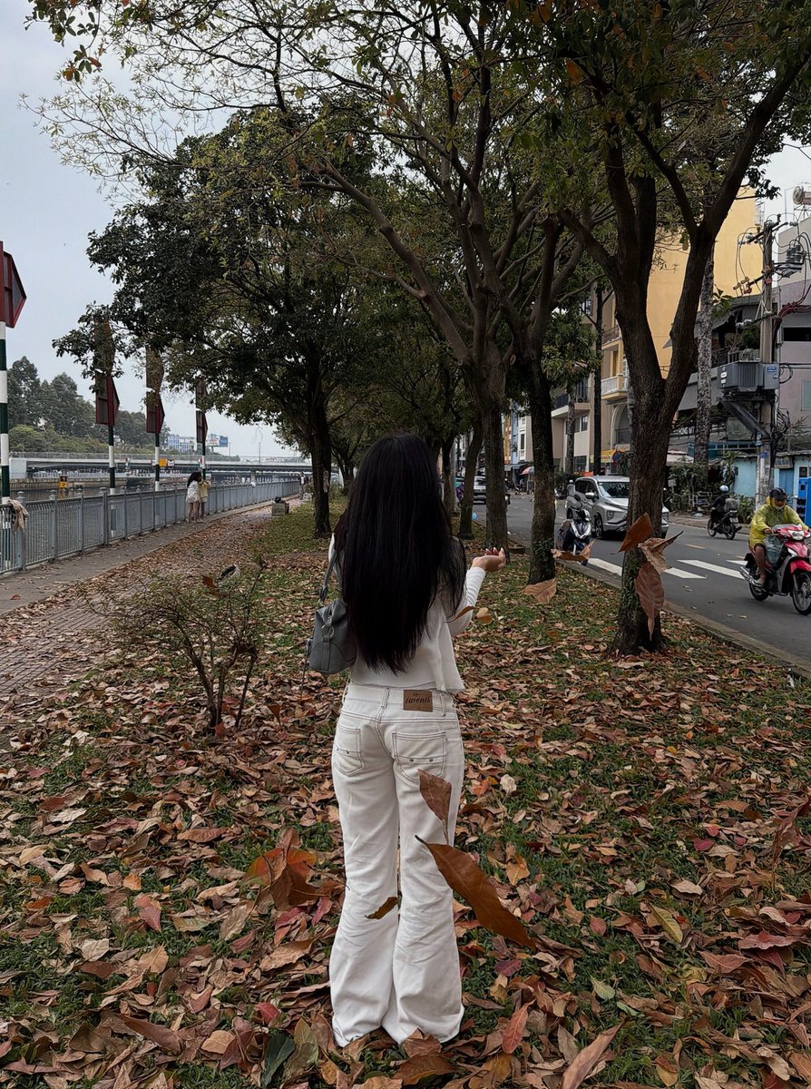 JimmyNguyen2x's tweet photo. Fall 🍂 https://t.co/BtwKdvwZbx