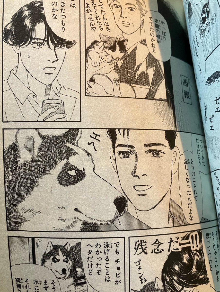 PIANONAIQ's tweet photo. 佐々木倫子 『動物のお医者さん』

全12巻完走。獣医を目指す青年と捨て犬だったチョビとの交流を軸に、単話エピソードで獣医学部の日常を描いていくコメディタッチの作品であった… 繊細なペンタッチで描かれるからこそ際立つチョビの可愛さは漫画ならではのものだろうなと…

#2026pqc 12 https://t.co/5dG6poNPB3