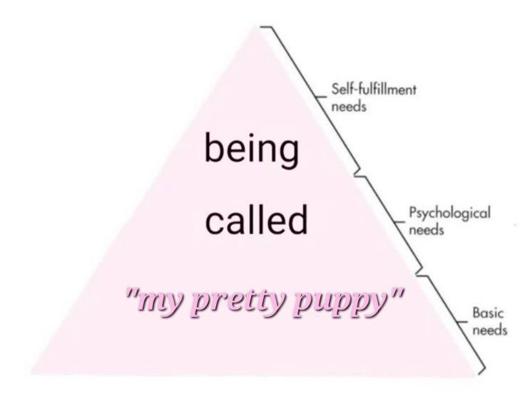 Staro2ju's tweet photo. #puppygirl #goodgirl #needy #petnames https://t.co/vW6IvCnhEw