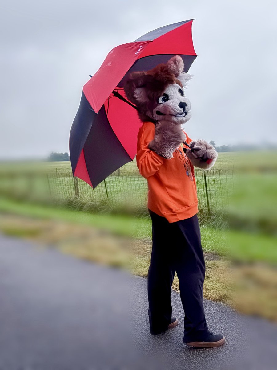 ryanborambo's tweet photo. Also I made a fursuit 🫢 
I’ve kind of been moving away from the whole YouTube thing (and Ryanborambo as a whole), so if you want follow me still it would definitely be on instagram!

Link 🔗:
https://t.co/uB1Q1EeCd1 https://t.co/bj1Euzs3Ms