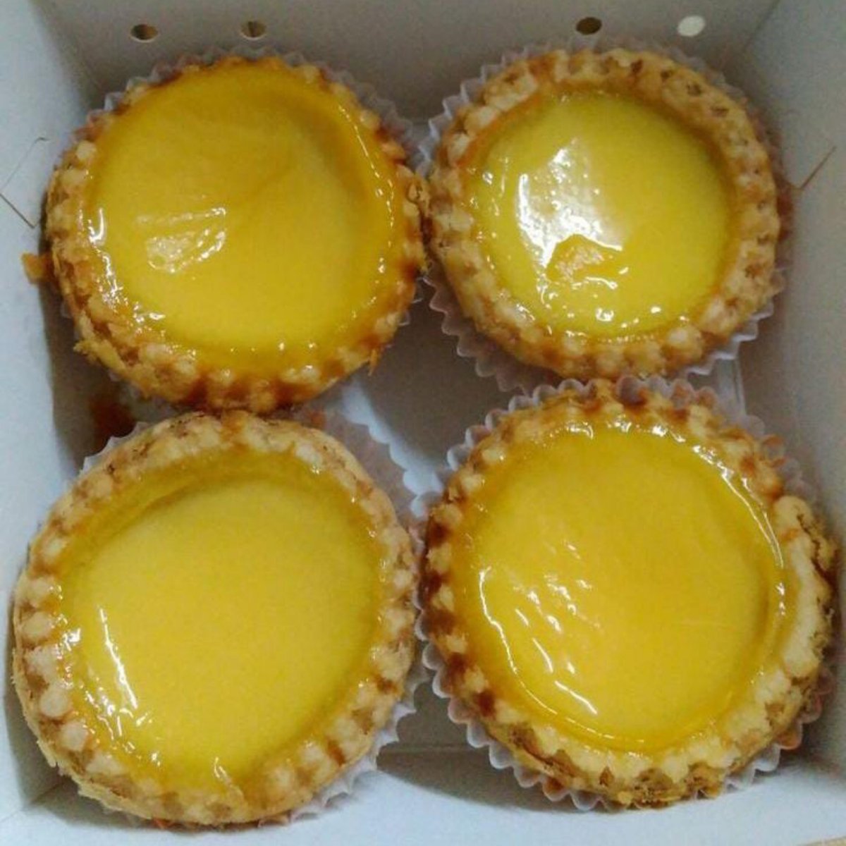 piscesgirle's tweet photo. menurut kalian, lebih enak pie susu atau bakpia? https://t.co/VJMIjkMes2