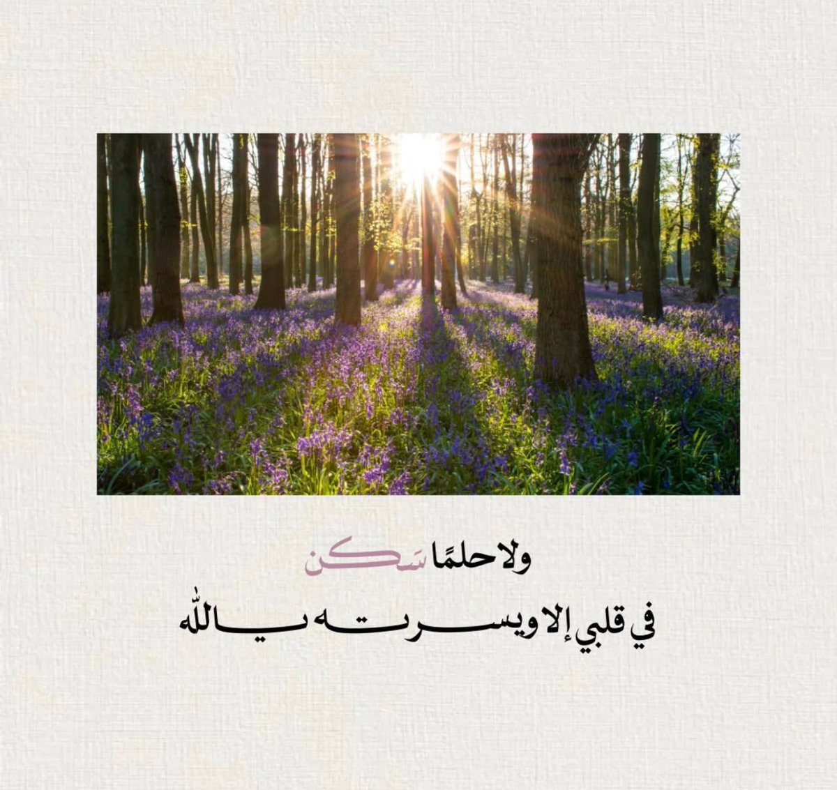 pra1yer's tweet photo. صُحبة أهل الذكر، صباح الخير 🤍

أسبوعٌ جديد، وبدايةٌ جديدة.

لا تدري ما الذي خبّأه الله لك 
- في أيامك القادمة

• فقد يأتيك فيها ما انتظرته طويلًا
• وقد يبدّل الله حالك بلطفٍ لم تتوقعه.

فأحسن الظن بالله 
وواصل دعاءك وسعيك
ولا تستعجل ما ترجوه؛
 فما أخ��ره الله عنك
قد يكون يؤتى به إليك في أجمل وقت.

ابدأ أسبوعك مطمئنًا…
واترك تدبير الأمر لمن بيده كل شيء.