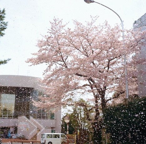 SHOPCOMMERCIAL1's tweet photo. 今後の予定
今日は帰ってきたら提出物終わるまで寝られま10、明日はES、明後日は卒論とES、明明後日は友人とカラオケ。カラオケのために頑張る。マジで今年中にお仕事探し終わって欲しい https://t.co/NVkRW5qhkJ