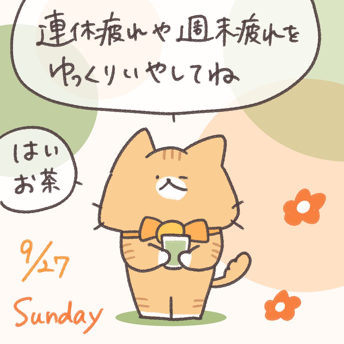 week_nyan's tweet photo. 日曜にゃんこ
2026年9月27日 https://t.co/e70SbTuKsC