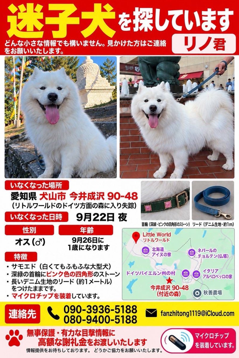 komachiaya_'s tweet photo. 愛知県犬山市でサモエドのリノ君が
9月22日から行方不明になっています

目撃情報が1件と非常に少なく
周知されていないと思われます

飼い主さんの元へ帰してあげたい！

拡散お願いします！！
そしてお近くの方、気にしてくださると有難いです(>人<;) https://t.co/nOrtFviHN9