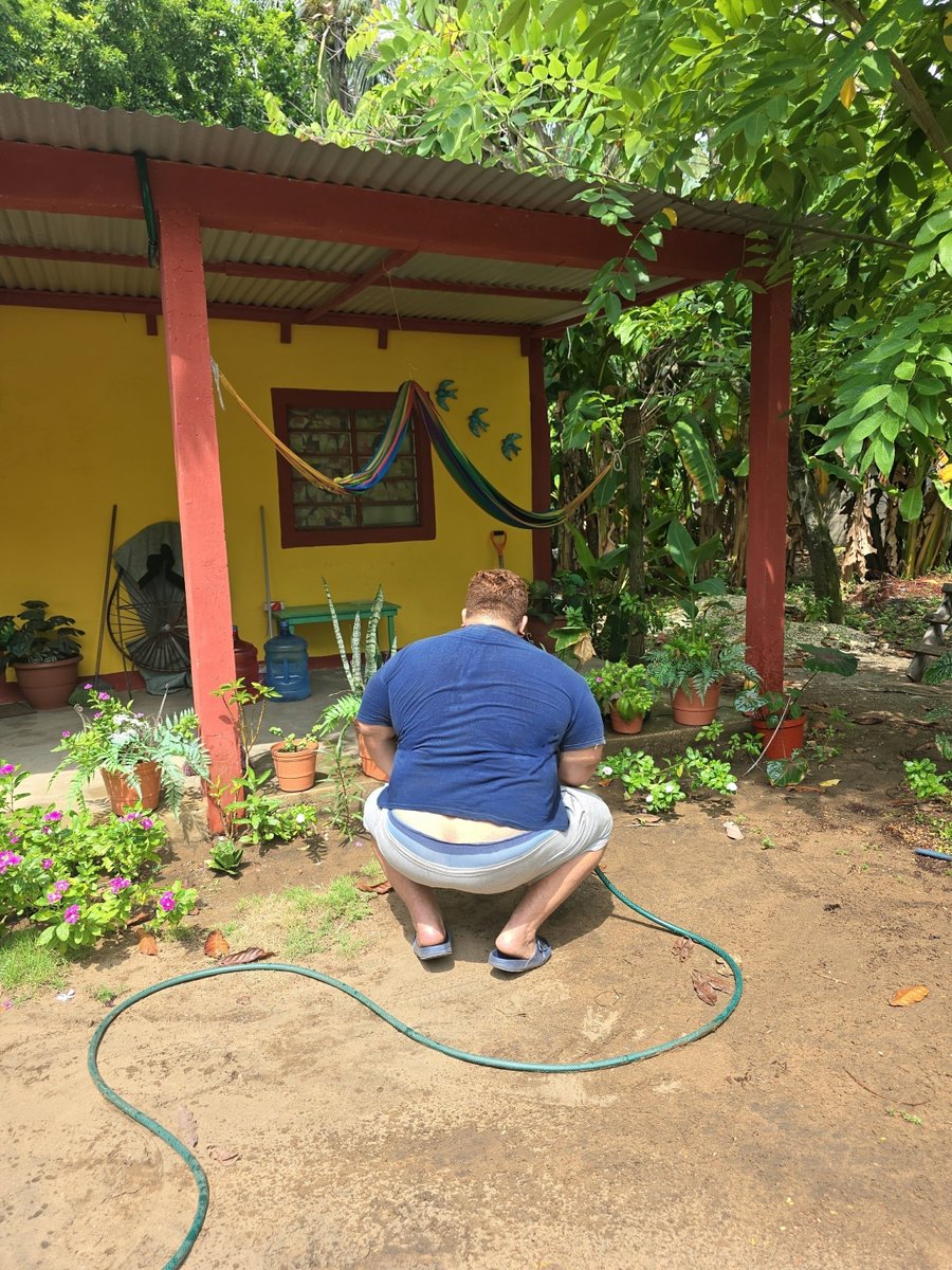 dr_ricardez1's tweet photo. Hada del jardin https://t.co/oOkaKRCGxp