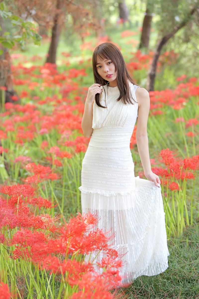 jun_jun2304's tweet photo. 彼岸花がキレイに咲いてるとの情報を聞いたので撮りに行ってきました。

model:芽生さん@circle2024_0355 

#彼岸花
#桂浜園地 https://t.co/Mc2B0CcDnM