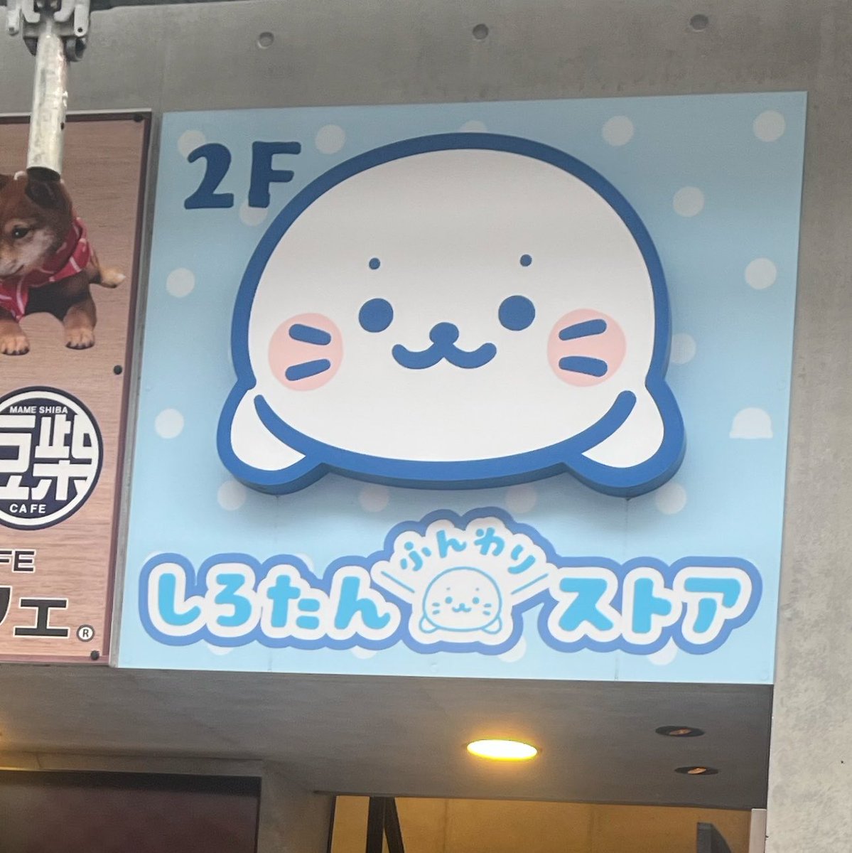 dakkotite's tweet photo. こういう店もっと増やせ https://t.co/qTOAg0f9U8