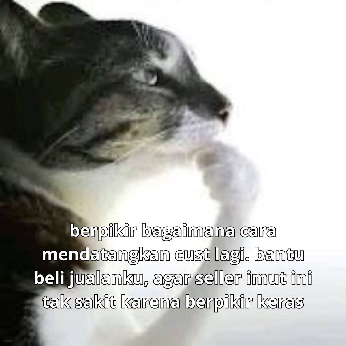 tagmbah's tweet photo. [RE-UPLOAD] meme hewan 🦔 membujuk cust untuk jajank ⭐️ 🧩 free to us guysss, leh tinggalin jejak aja yhhh. https://t.co/xGJiuPq0qL
