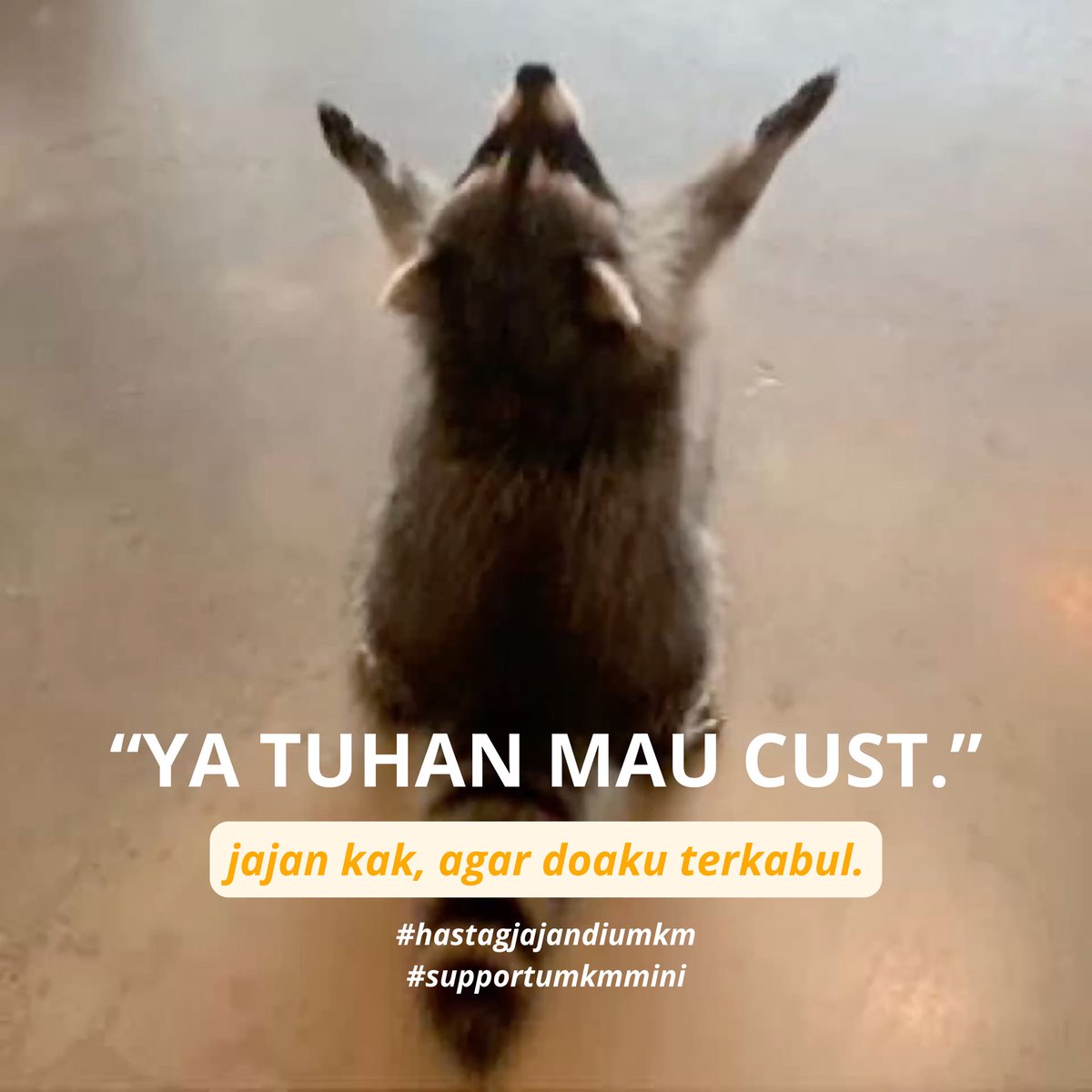 tagmbah's tweet photo. [RE-UPLOAD] meme hewan 🦔 membujuk cust untuk jajank ⭐️ 🧩 free to us guysss, leh tinggalin jejak aja yhhh. https://t.co/xGJiuPq0qL