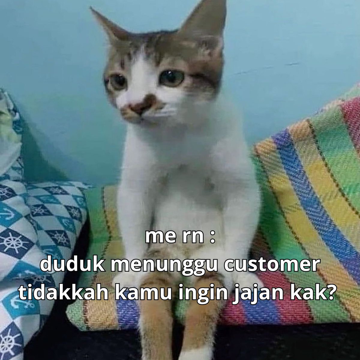 tagmbah's tweet photo. [RE-UPLOAD] meme hewan 🦔 membujuk cust untuk jajank ⭐️ 🧩 free to us guysss, leh tinggalin jejak aja yhhh. https://t.co/xGJiuPq0qL