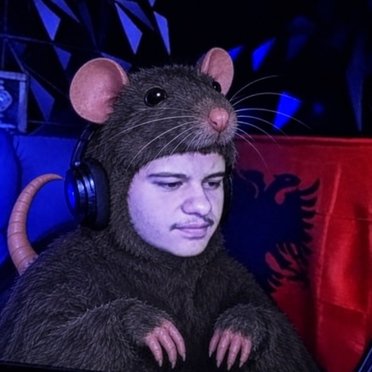Kronker19's tweet photo. @yeoakx you are a dirty rodent gypsy Rat. You look like shit and is lazy to get a job. That’s why you lie you have no real fan base all ur followers are fake you spent money to view bot and buy fake followers ur a bum get a job loser. @ZherkaOfficial https://t.co/HiwoZYsbsn