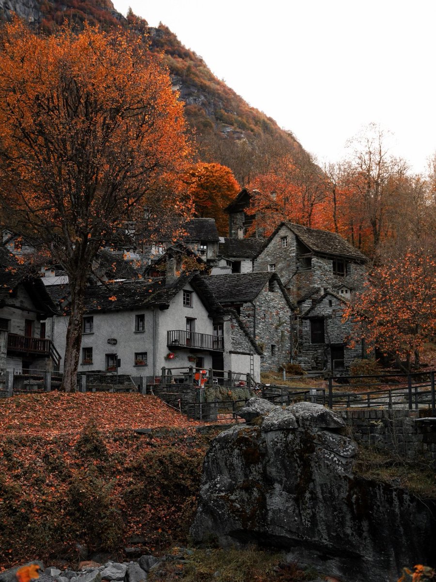 Alina_bloom79's tweet photo. Ticino, Switzerland.. https://t.co/ym7i4DzsQ9
