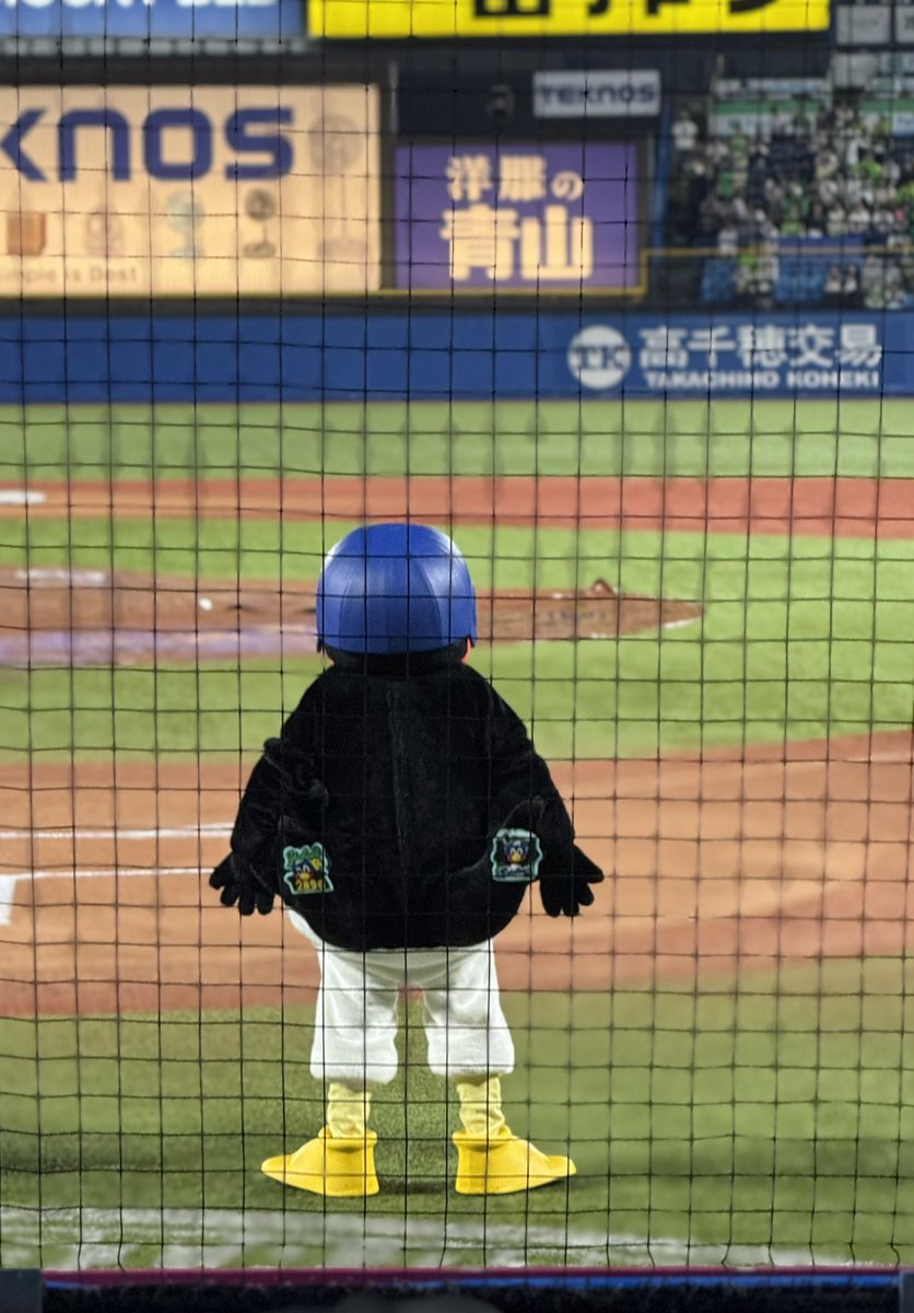 chocoooooo26's tweet photo. すわほーできたぁ(   ߹ㅁ߹)☂️
やっとヤクルト戦見に行けたぁ⚾️︎ ̖́-
しかも推しの長岡選手の誕生日の日に( ᵒ̴̶̷̥́ωᵒ̴̶̷̣̥̀ )✨️
大好きなつば九郎にも会えた〜🐧🧢💓

バックネット裏の近くて素晴らしい席…✨️
そしてサヨナラ勝ちᩚ ܸo̴̶̷  ̫ o̴̶̷ ܸ  ᩚ🚩
最高な1日だったぁ🪄︎︎◝✩ https://t.co/p4SZCpVytn