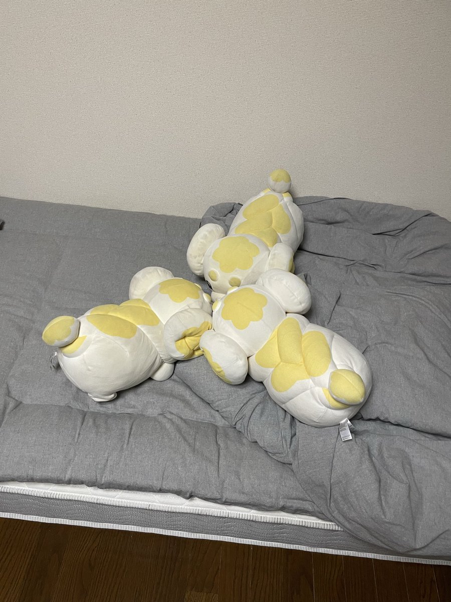 soy_and_late's tweet photo. #パピモッチの日
もちもち🤩 https://t.co/TfCc1BLQJr