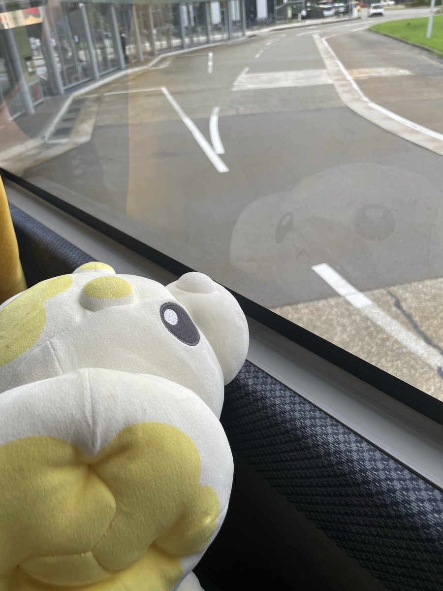 soy_and_late's tweet photo. #パピモッチの日
もちもち🤩 https://t.co/TfCc1BLQJr