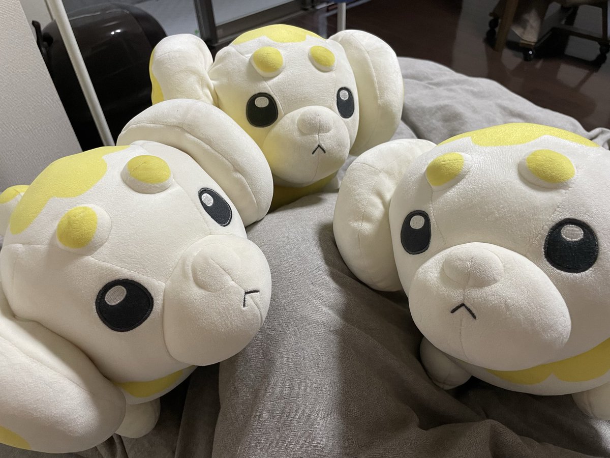 soy_and_late's tweet photo. #パピモッチの日
もちもち🤩 https://t.co/TfCc1BLQJr