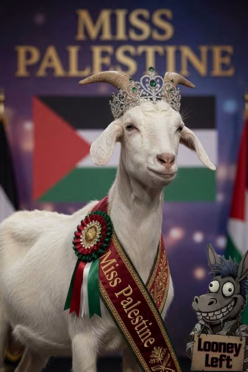 BluntRicar50008's tweet photo. Today's beauty parade for eligible islamik grooms features....... https://t.co/8rQI0CLw3B
