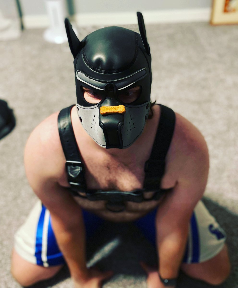 LuieBlueRazz's tweet photo. Bondage pups have many interests. Bondage, treats!, spanking, treats!, electro, treats!...... Did someone say treats?  

#gayfetish #bondage #gaypup #pupplay #gaybdsm #gaybondage https://t.co/e8MPZI3NGV