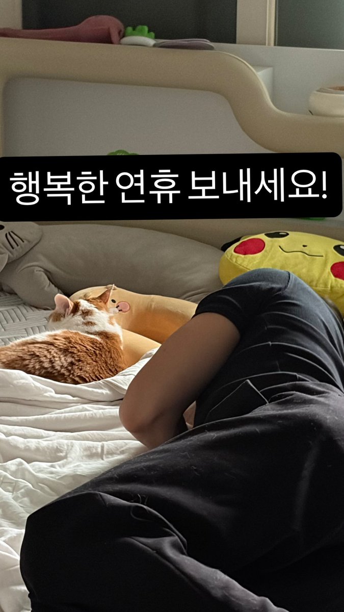 ddanamel's tweet photo. 첫째형님 덕분에 추석 해삐따나 모음💜
산하 구구절절 알려주셨던 하루 일정(?)처럼 잘 쉬고 가족들이랑 즐거운 시간 보낸거 같아서 다행이다😊
 
#윤산하 #아스트로 #ユンサナ
#YOONSANHA https://t.co/D15kEAsu7E