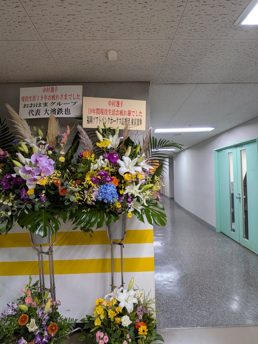 tokyo_mach's tweet photo. 探しました

#花粉症になりそうです https://t.co/RiPzLm5y9P