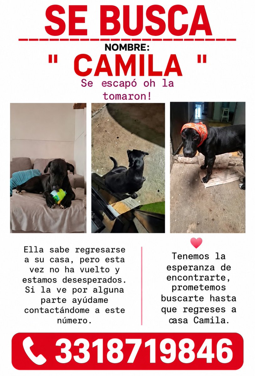 Trafico_ZMG's tweet photo. #ServicioSocial https://t.co/KSmU4hLVqo