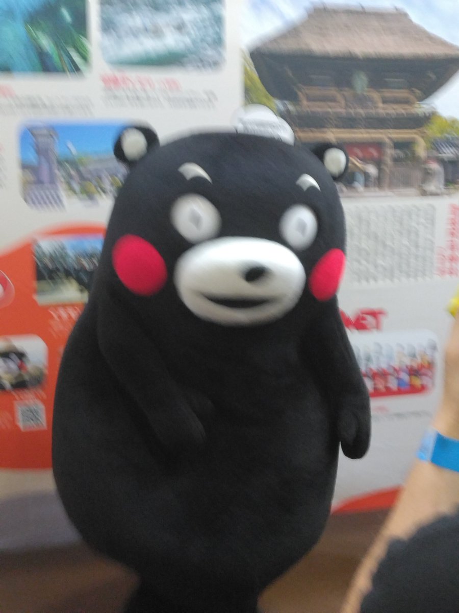 esseshokaimassa's tweet photo. くまモンを見たら………？
#越勢商会 
#ツーリズムEXPO 
#熊本県 https://t.co/DECyQ3VTQl