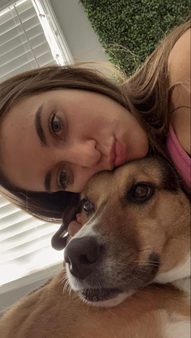 Annalrwj's tweet photo. Zoo model who gives pleasure to her dogs because she likes it so much dog!🥰🐾 Dm via TELEGRAM: https://t.co/GrrMWFxnfJ https://t.co/EcFa0DZZ4W
