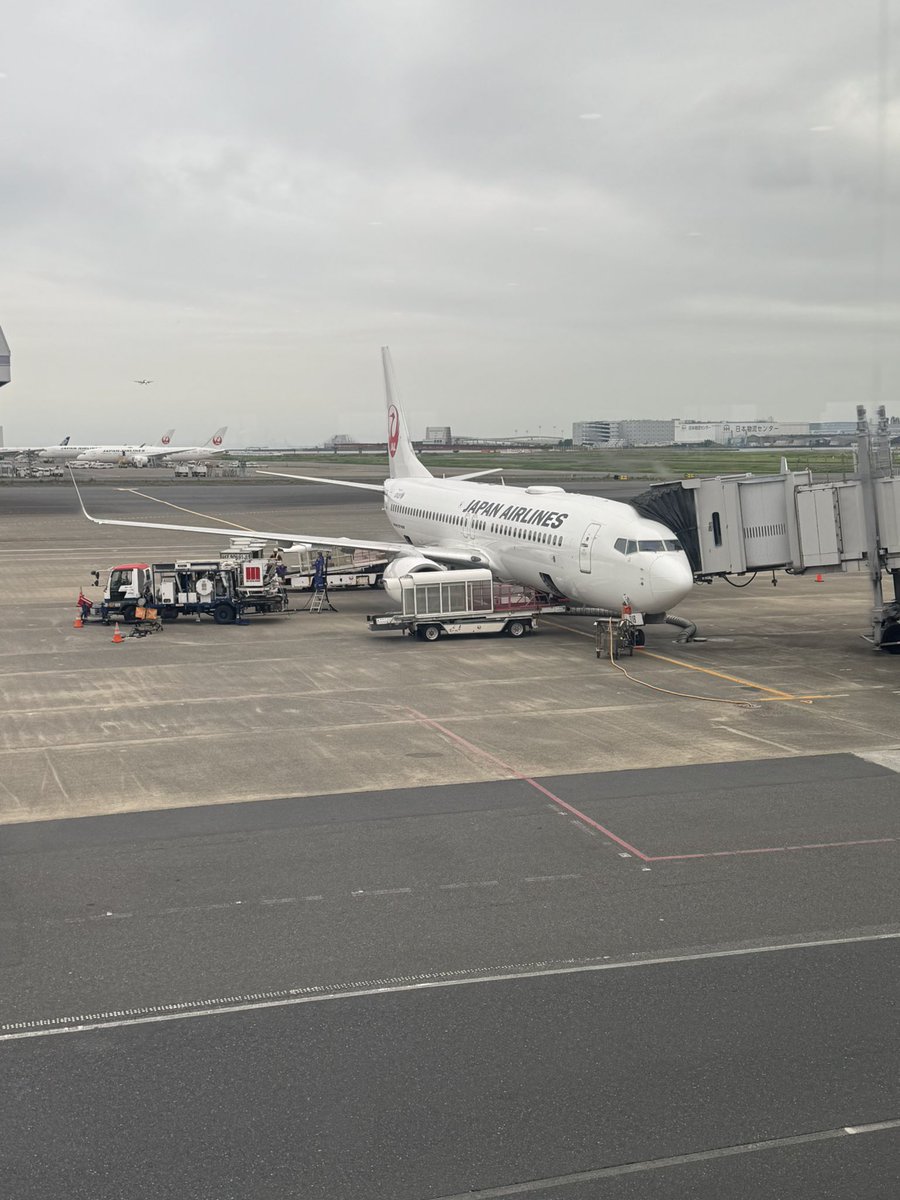 209nambu_naha53's tweet photo. 60.HND⇒KKJ
(JL375/Boeing737-800(JA318J))

今回は出張でのフライト✈️北九州空港は初訪問
#JAL https://t.co/jUlIHQiDTn