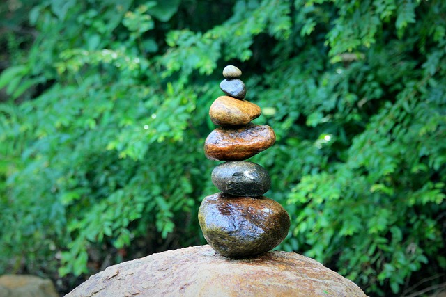 cocoMIVT's tweet photo. Choose peace, the foundation of new beginnings. https://t.co/3Jqo0aRE60