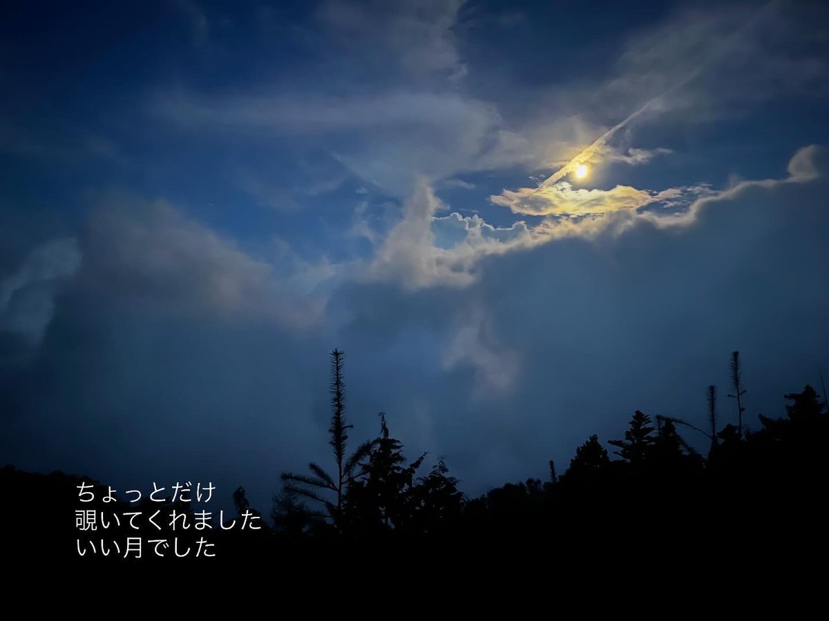 micah0124's tweet photo. 山に行ってきた https://t.co/WdWaTXdlDa