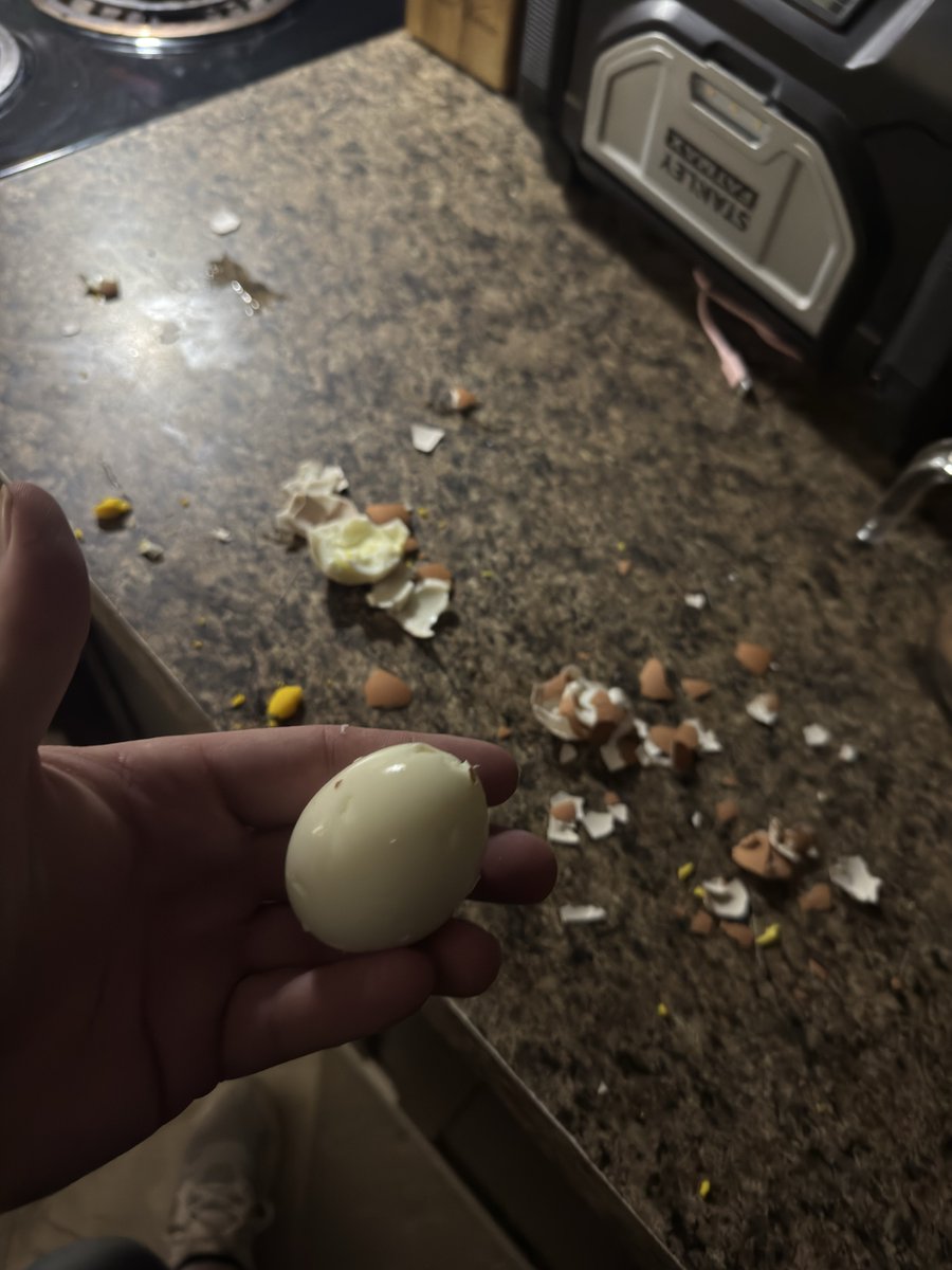 KoopaFuel's tweet photo. I boiled it. https://t.co/BftsIs6MWy