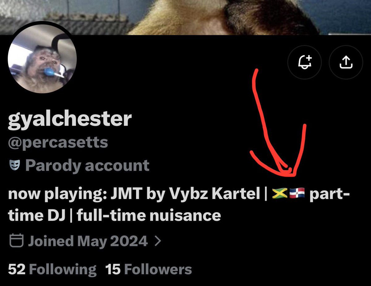 YaroaRD's tweet photo. They hate on us but use our flag lmao https://t.co/lIXAjalIEL