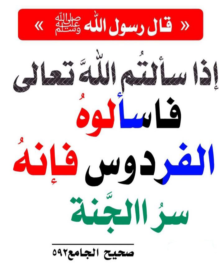 alaqidat_sahiha's tweet photo. https://t.co/6ZLpazduMJ