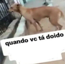 dborandrade_'s tweet photo. invento uma coisa na minha cabeça, acredito nela e fico brava kk https://t.co/ShwbDc2Int