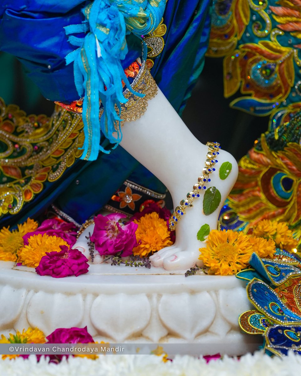 VCMVrindavan's tweet photo. Today's Sringar Darshan of Sri Radha Vrindavanchandra, 27 Sep 2026
रविवार, आश्विन मास, प्रतिपदा तिथि, कृष्ण पक्ष, विक्रम संवत् २०८३, गौरबदा 540
    
#vrindavan #vrindavanchandrodayamandir #tallesttemple #Krishna #radha https://t.co/DfCqRiyPQO