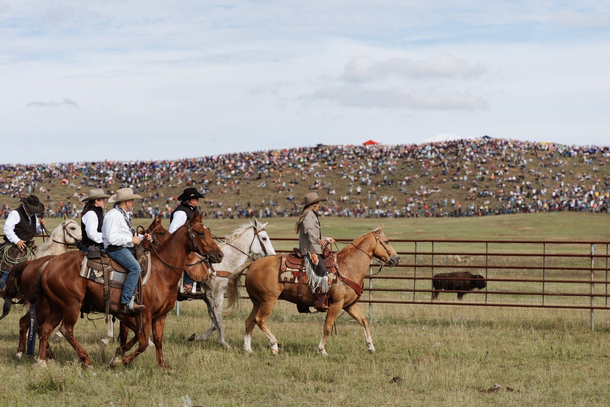 KristiNoem's tweet photo. Another Governor’s Buffalo Round-up in the books! Thank you Governor Rhoden for hosting and Kevin Robling for inviting me to ride this year. Loved seeing everyone and Blondie and I so enjoyed the majestic Buffalo, beautiful scenery and wonderful people! @klairesealeyphotography https://t.co/cZjNdfzEPN