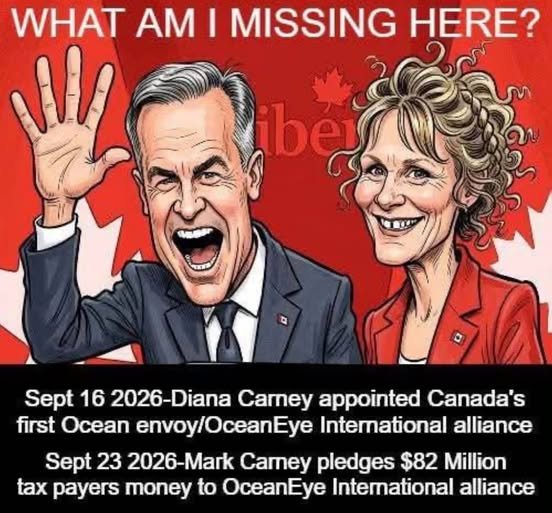 hijackedsociety's tweet photo. What are some Canadians missing??? When blatent truth meets the reality of manipulation Canadians look to be first class naive and gullible
Does not get more disrespectful or cunning than this.
@canpoli #conflictofinterest #Liberal https://t.co/gdMuyy8hWx