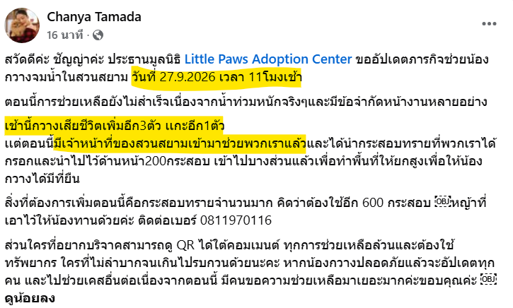 TifFaNy_9member's tweet photo. ความคืบหน้าจากการช่วยเหลือสัตว์ในสวนสัตว์ Siam Amazing Park สยามอะเมซิ่งพาร์ค ที่อยู่ท่ามกลาง #น้ำท่วม

- มีกวางเสียชีวิตเพิ่ม3ตัว 
- เเกะเสียชีวิตอีก1ตัว
- มีเจ้าหน้าที่ของสวนสัตว์เข้ามาช่วยแล้ว

เฮ้อออ พลเมืองดีหาทางช่วยตั้่งแต่เมื่อวาน ไม่มีเจ้าหน้าที่ของสวนสัตว์สักคนออกมาช่วย วันนี้มีแล้วนะ หวังว่าน้องๆที่เหลือปลอดภัย ไม่ตุยเพิ่ม