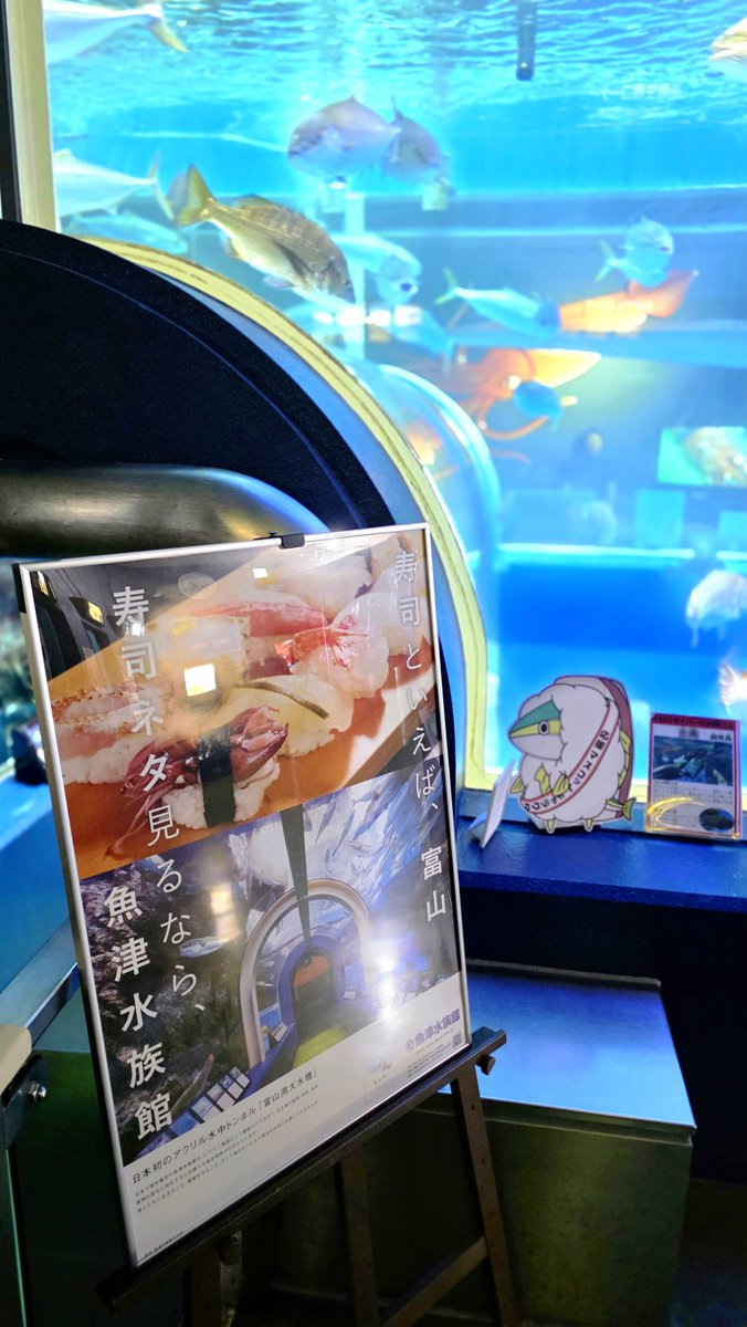 NMB_5296's tweet photo. @naaasuooo 寿司といえば富山の魚津水族館！
日本最古の水族館なんです！
美味い海の幸を味わいにぜひお越しください😊 https://t.co/IFAVZclP7J