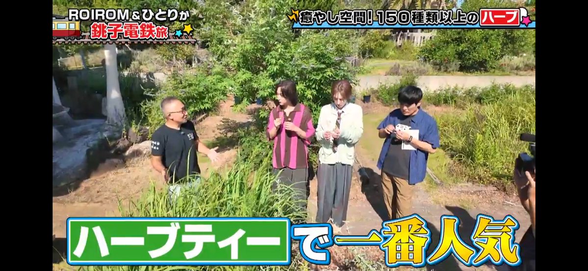PHerbgarden's tweet photo. #ロイロム 鉄道オンエア見逃し配信はコチラ↓
https://t.co/IV3C4asrXu

またテレビでは放送されなかった未公開VTRはHuluでのみお楽しみいただけます！ https://t.co/HgThfn031r
