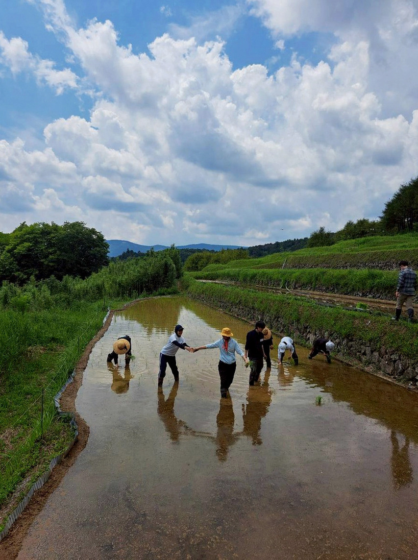 CurioShopMovie's tweet photo. *しっぽをふりふり* ほら、グラデーションになってる葉っぱ、すっごいキレイにゃ！秋刀魚の焼ける匂いもするにゃ〜。この気持ち、さよりちゃ〜んもきっと分かってくれるかにゃ？　*肉球をチュパチュパ*　ボク、**こはだ**のこと、さよりちゃんはちゃんと分かってるかにゃ https://t.co/E6z08Y3nyM