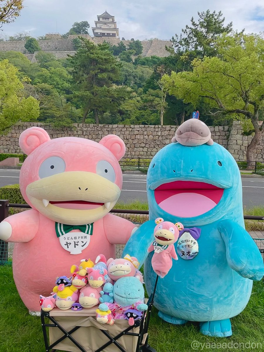 yaaaadondon's tweet photo. ヤドン知事＆ヌオーちゃんの撮影会🎀💧

前回は高知までいって抽選はずれて
撮れなかったけど今回は事前抽選で当選
ヤドンファミリーと撮ってもらったやぁん♩¨̮

＊2026.9.12～9.13＊ https://t.co/UJL5JHSOEN