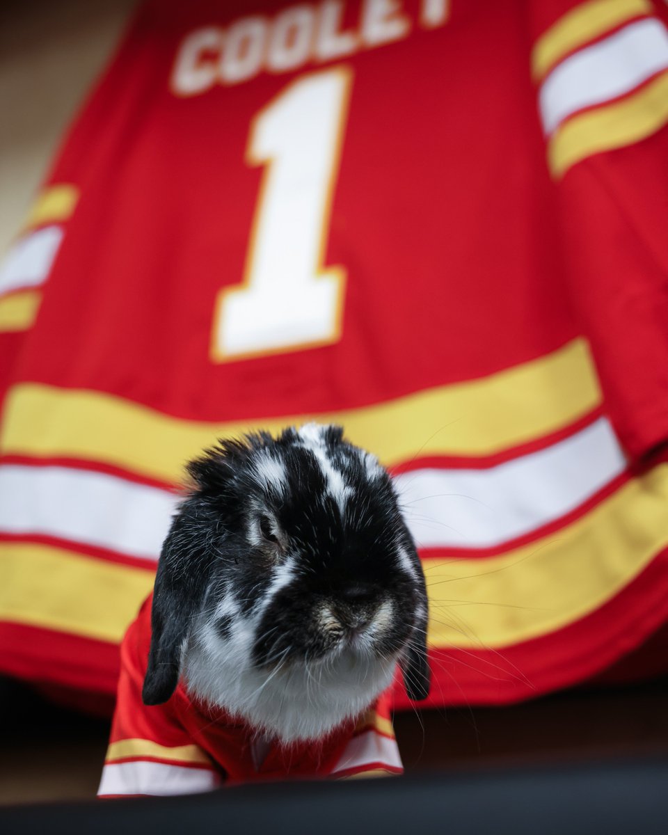 NHLFlames's tweet photo. Tito Cooley stuns in new photos.

cc: @hopcrave https://t.co/0nJTqmYIt1