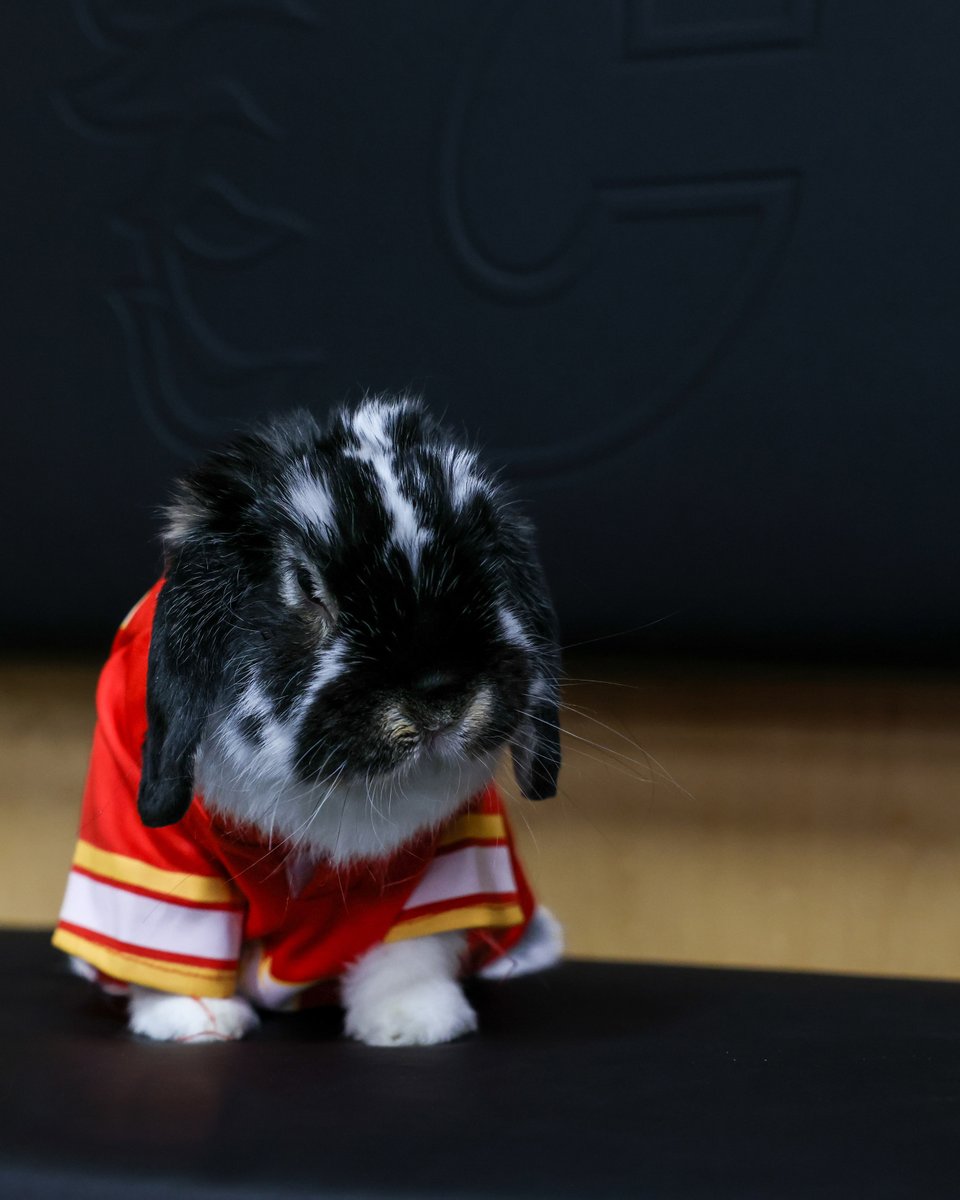 NHLFlames's tweet photo. Tito Cooley stuns in new photos.

cc: @hopcrave https://t.co/0nJTqmYIt1