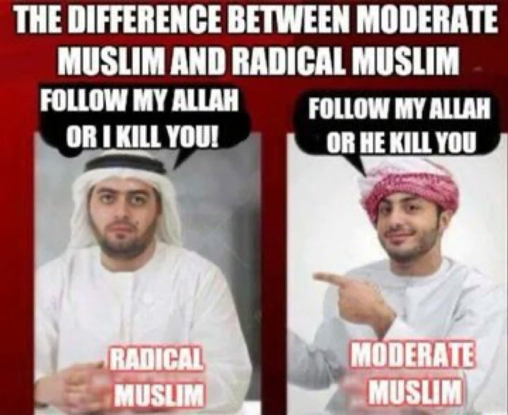 Ewornek43's tweet photo. @MasterMaliq Perhaps if some Muslims ever criticized Muslim terrorists, non-Muslims might get the idea that not ALL Muslims are terrorists. https://t.co/X1WZ5ghSmY