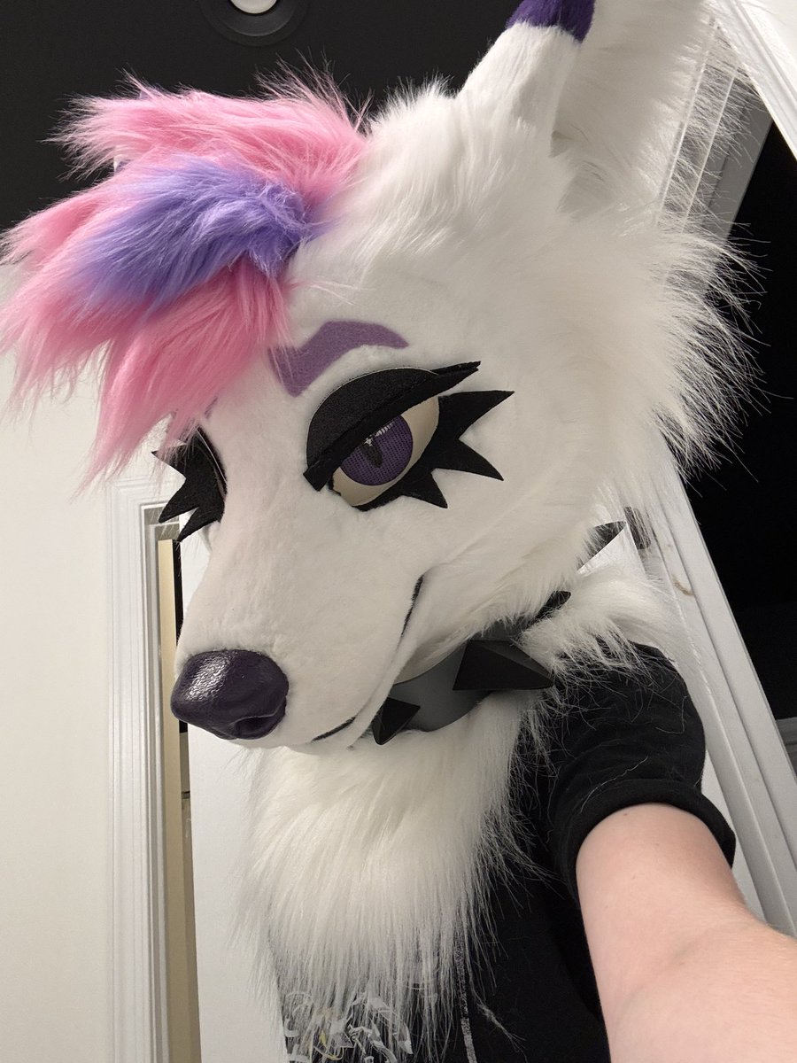 ThatSmolWolf's tweet photo. Hey https://t.co/n4BEwzMW1t