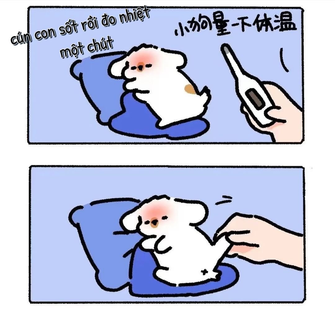 PhuongK36118866's tweet photo. May là tỉnh kịp đó trời, xém hỏng rồi
#cuncon https://t.co/MpMtF0X3nW